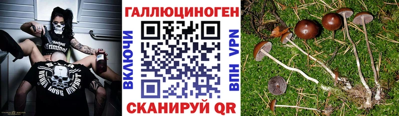 Галлюциногенные грибы Cubensis  Вихоревка 